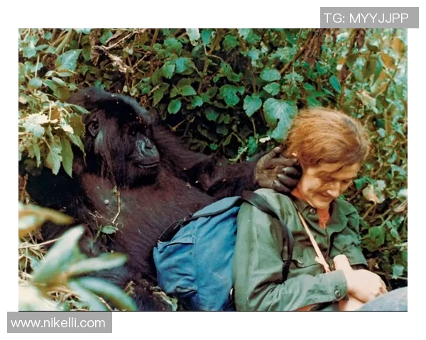 法国足球巨星猩猩是谁他的传奇故事与不为人知的足球生涯